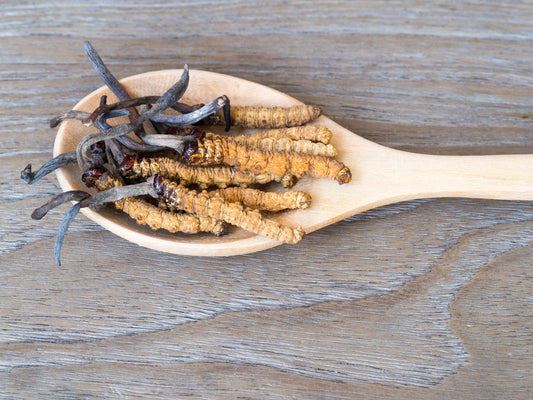 Cordyceps Mushroom Gummies: A Tasty and Convenient Way to Boost Your Health