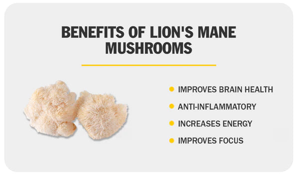 Lion's Mane Mushroom Benefits: A Comprehensive Guide